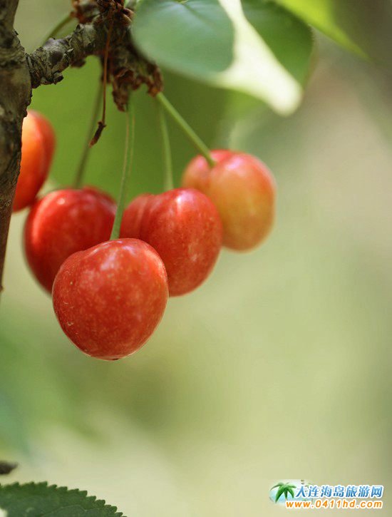 2023���B����Ҳ�ժ