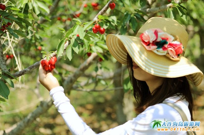 2023���B����Ҳ�ժ