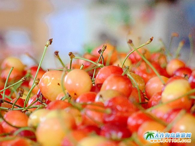 2023���B����Ҳ�ժ