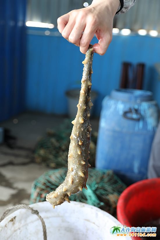 ���ɍu����