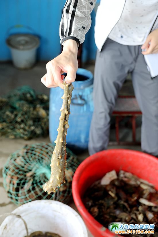 ���ɍu�O��Ժ