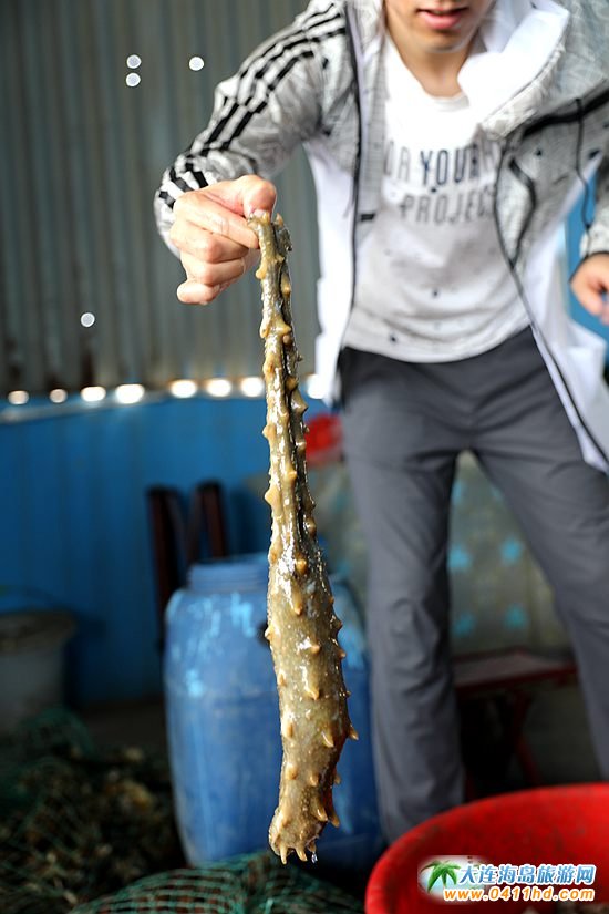 ���ɍu����