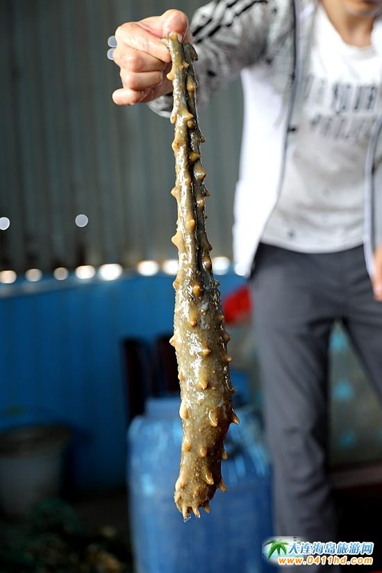 ���ɍu����