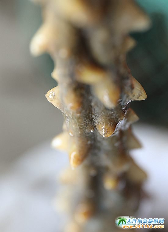 ���ɍu���r