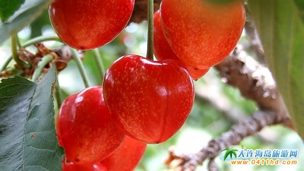 ���B���Ҳ�ժ