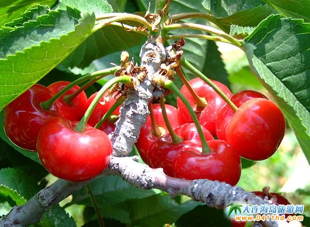 ���B���Ҳ�ժ�@