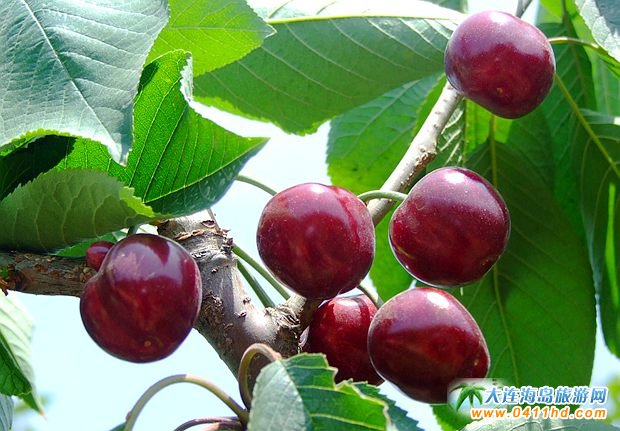 ���B���҈@�TƱ