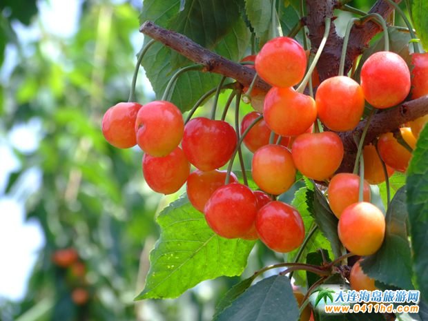 ���B���҈@�TƱ