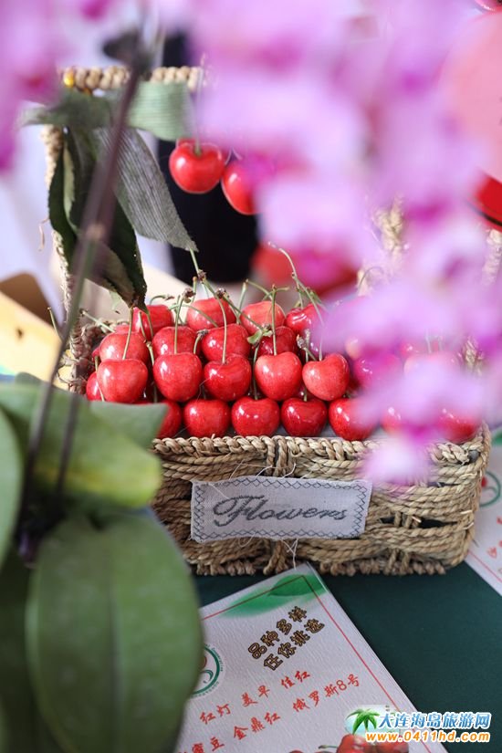 單果25克的大連大櫻桃