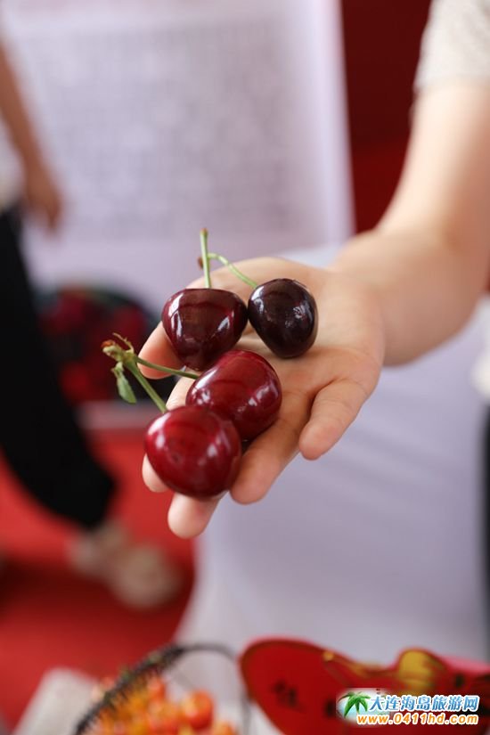 大連櫻桃采摘園