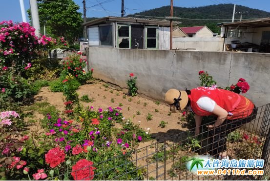 ���ɍu����