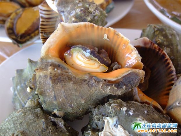 ���B���ι��� 