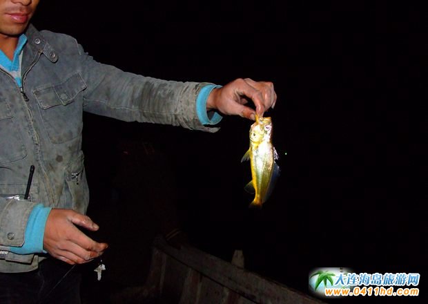 ���ɍu����