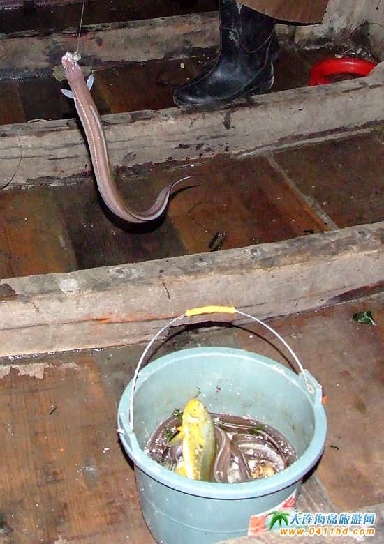 ���ɍu���ι���