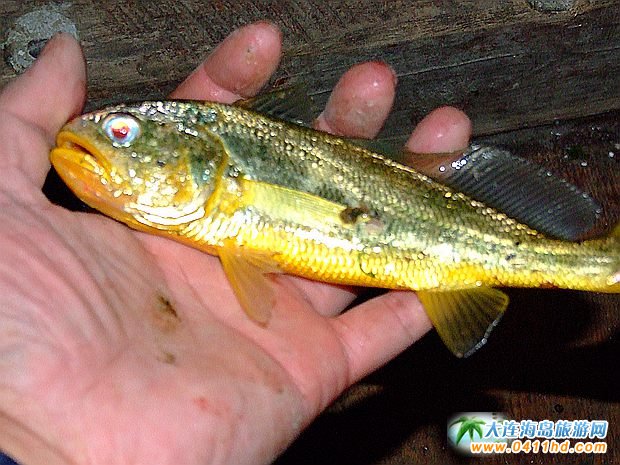 ���ɍu����