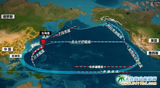 ���B���u����