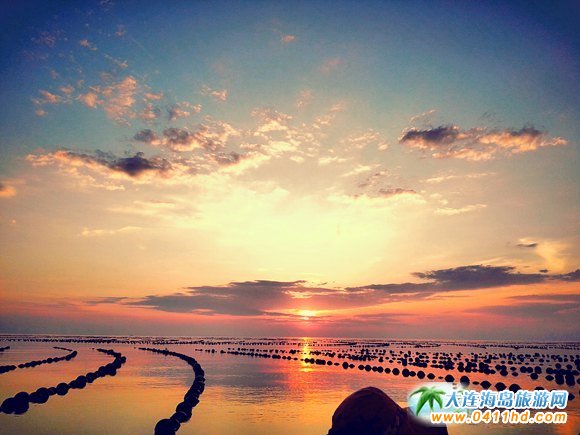 ���B���u����