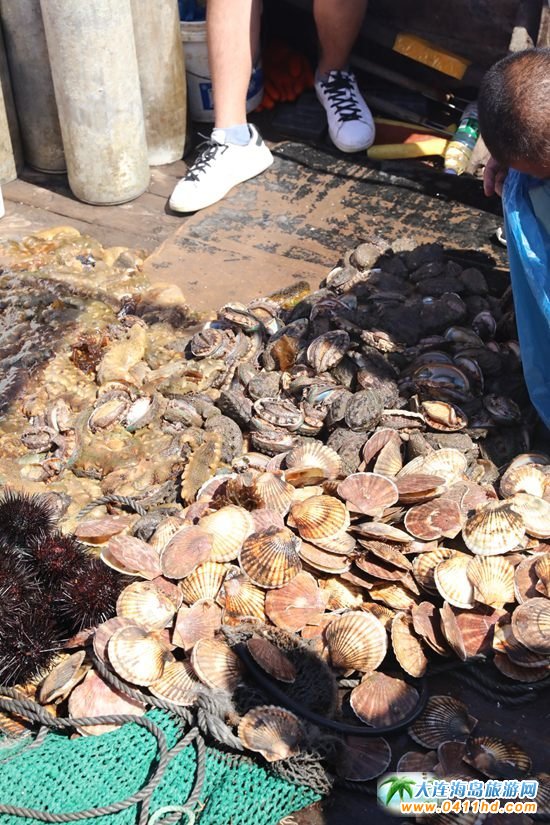 ���B���u����