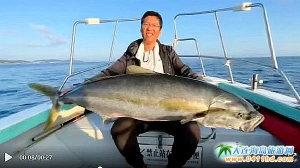88.4斤超大黃條鰤在獐子島擒獲