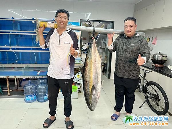 88.4斤超大黃條鰤在獐子島擒獲