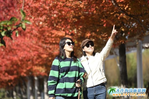 盛世綠源彩葉林