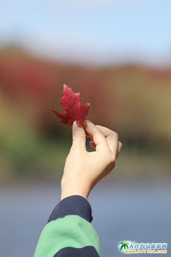 盛世綠源彩葉林