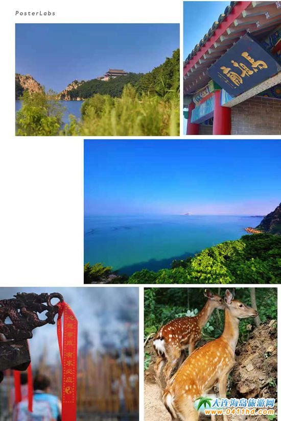 �V¹�u����